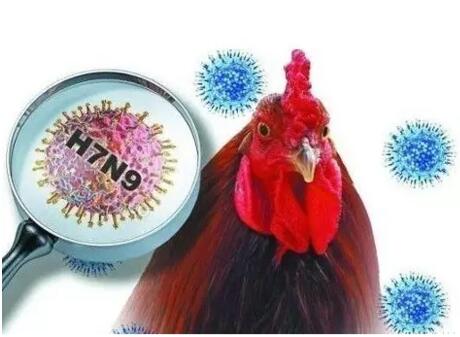 河北省确诊1例人感染H7N9病毒病例