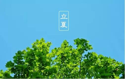 QQ截图20170505085335.jpg